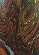 Polished Tiger Iron Stromatolite - ( Billion Years) #39178-1